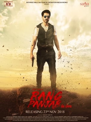 Rang Panjab (2018) Punjabi Movie | Hindi Dubbed Movie HDRip x264 [1GB]