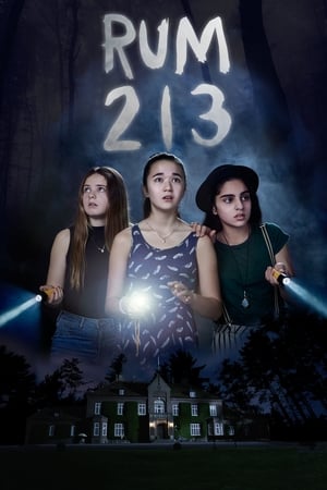 Rum 213 2017 Hindi Dual Audio | Hindi Dubbed Movie BluRay 280MB